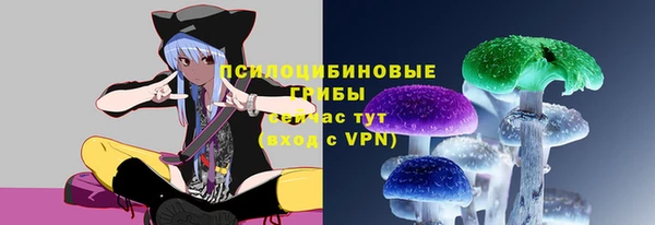 ALPHA PVP Кинешма