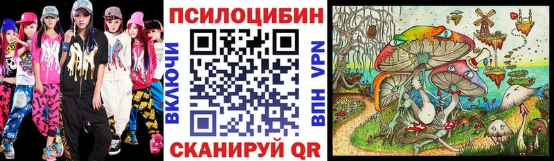 Псилоцибиновые грибы прущие грибы  Купить закладки  Богданович 