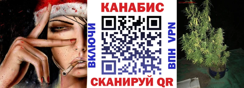 Купить где  Богданович  Канабис семена 